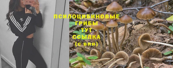 героин Алзамай