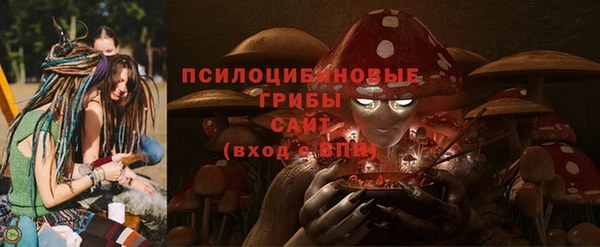 ешки Семилуки