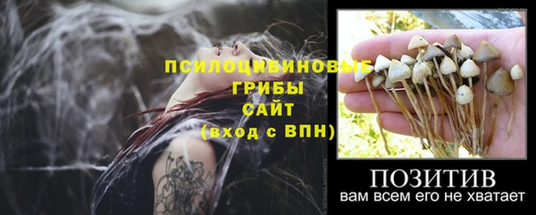 2c-b Алексеевка