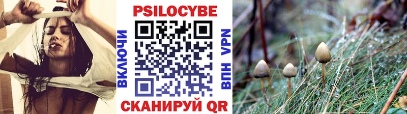 shop клад  Дмитриев  Псилоцибиновые грибы Magic Shrooms 