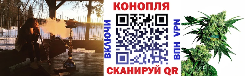 Канабис гибрид Дмитриев
